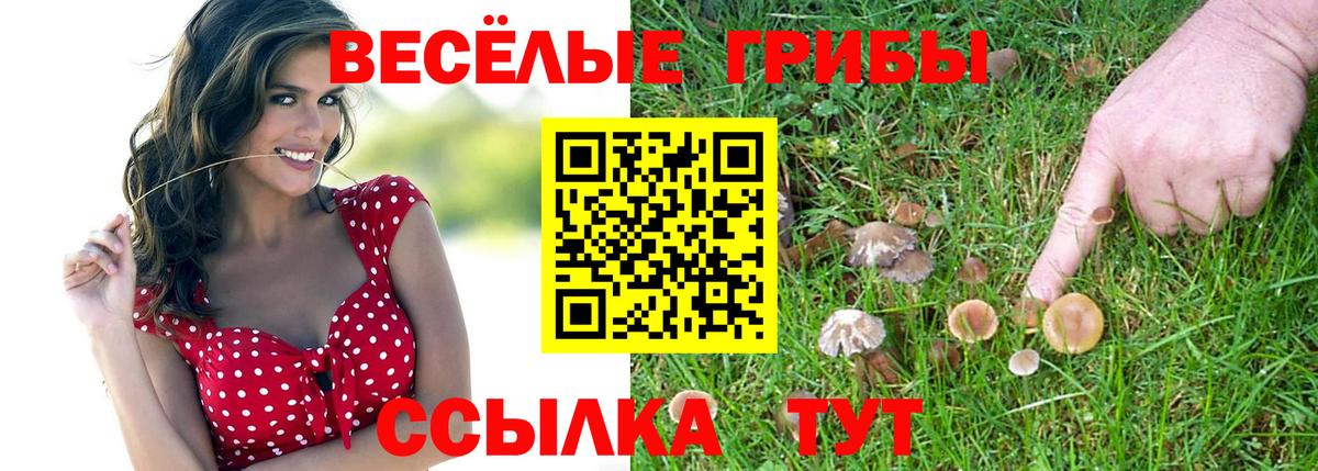 Псилоцибиновые грибы прущие грибы  Псилоцибиновые грибы Magic Shrooms  Вход с VPN  Усть-Илимск 